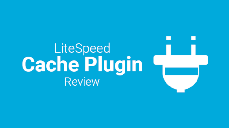 Litespeed Cache Plugin Review Hosting Pundit